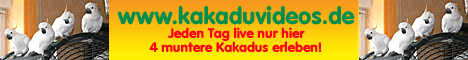 Kakaduvideos